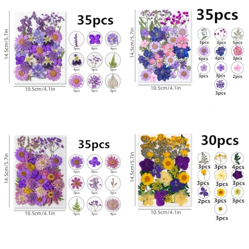 135 Pcs Dried Pressed Flowers for Crafts Resin Real Flat Natural Pressed Flowers with Tweezer for Scrapbooking Silicone Epoxy Resin Molds Crafts Candle Soap Making Nail Bookmark Jewelry DIY Art Supply - color: 135pcs Purple