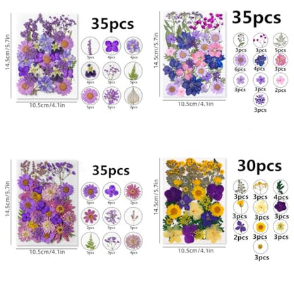 135 Pcs Dried Pressed Flowers for Crafts Resin Real Flat Natural Pressed Flowers with Tweezer for Scrapbooking Silicone Epoxy Resin Molds Crafts Candle Soap Making Nail Bookmark Jewelry DIY Art Supply - color: 135pcs Purple