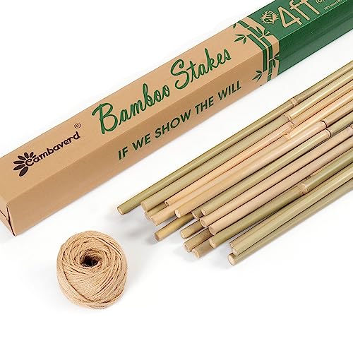 Cambaverd Bamboo Stakes 4ft, Thicker Plant Stakes with Garden Twine,20 Pack - size: 4FT PLUS-20PACK