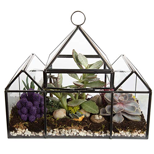 D'Eco Glass Castle Plant Terrarium, Centerpiece & Wedding Letterbox