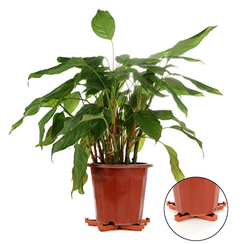 12Pcs Plant Pot Feet, Invisible Flower Pot Risers DIY Combination Triangle Toes Pot Lifters Supports Potted Plant Stand for Indoor Outdoor Gardening Plant Container Small to Large Flower Planters
