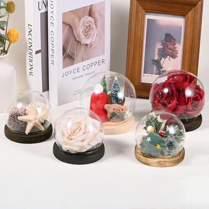 M METERXITY Cloche Glass Dome, D4.7In Ball Jar with Wooden Base for DIY Snow Globes/Small Plants/Flowers/Candles/Models/Souvenirs, Glass Display Case [Wood] - color: Wood, size: D4.7In