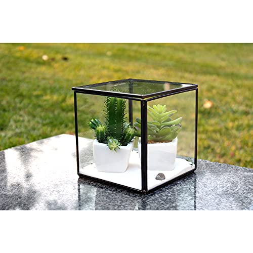WGV Geometric Planter Terrarium, Width 5" Height 5" Clear Glass Black Frame DIY Succulent air Plant Miniature Fairy Garden Windowsill Tabletop Decor, Cube 1 Piece - color: Black, size: Box 5"