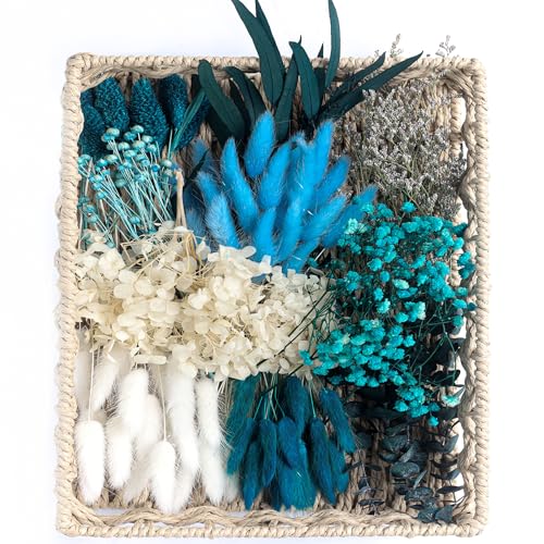 xin's convey DIY Natural Preserved Flower Kit, Wholesale Preserved Flowers for Vases, Preserved Flowers with Stems, Mini Bouquets, Hydrangeas, Eucalyptus Leaves. (Blue) - color: Blue