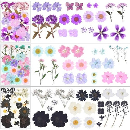 190Pcs Dried Pressed Flowers for Craft,Xinxinran Dry Flower Kit for Resin - color: Bright Color