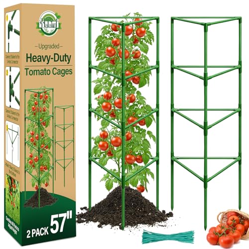 Halatool 57" Tall Tomato Cages, 2 Pack Heavy Duty Plant Support for Garden | Metal Stakes for Raised Beds and Pots, Adjustable Foldable Trellis for Cucumbers, Peppers, Flowers, and Climbing Plants - color: 2pcs, size: 57in