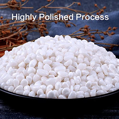 6.0 LB White Polished Pebbles 3/8", Natural Decorative Smooth River Rocks, Gravel Size White Small Pebble Stone for Succulent, Bonsai, Potted Plants, Landscaping, Fairy Garden, Aquarium - size: 6.0 LB