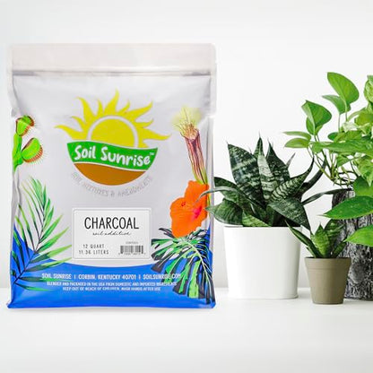 Soil Sunrise Horticultural Charcoal for Indoor Plants (30 Quarts) Hardwood Soil Additive for Orchids, Terrariums, and Gardening - size: 30 Quarts