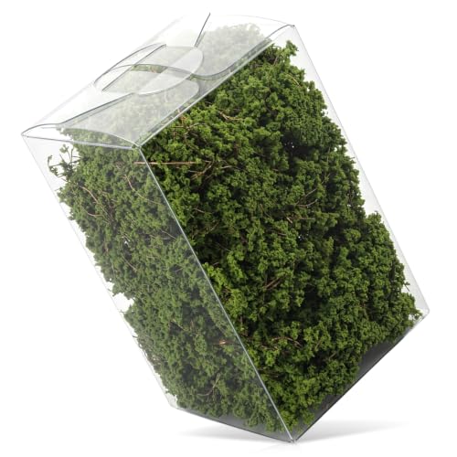 Static Grass Miniature Shrubs Bushes Terrain Model Grass