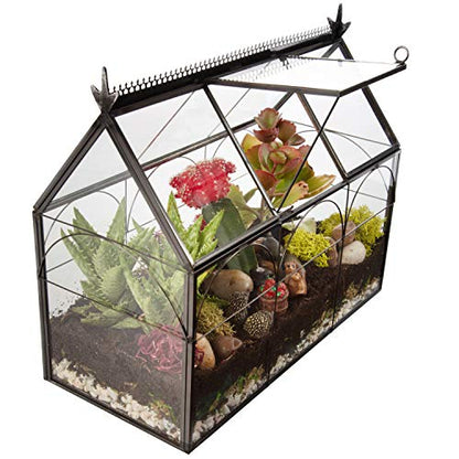 D'Eco Glass Greenhouse Plant Terrarium, Centerpiece & Wedding Letterbox | Tabletop Geometric Planter Terrarium, Dims 10x4.5x9", Fill with Succulents, Moss, Air Plants, Ferns & Seasonal Home Decor - size: Greenhouse