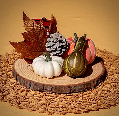 Set of (10) 8-9 inch Wood Slices for centerpieces, Arts and Crafts, and Rustic Home Decor! Wood Slice centerpieces, Wood Rounds, Tree Slices (Small 8-9 inch) - size: Set of 10 Small (8-9")