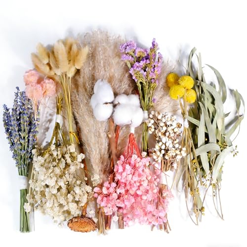 12 Kinds Natural Dried Flower Set, Bulk Dried Flowers for Vase,Mini Dried Flower Bouquets,Dried Flowers with Stems for DIY Crafts, Vase Decor,Home/Wedding/Birthday Decor(8.7-13.8in Flexible Stems) - color: 12 Kinds-soft Pastel Series