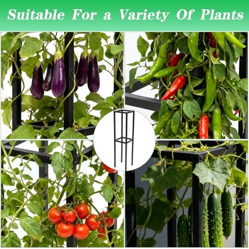 48" Dragon Fruit Trellis Durable Metal Support for Climbing Plants