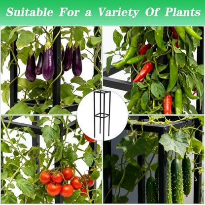 48" Dragon Fruit Trellis Durable Metal Support for Climbing Plants