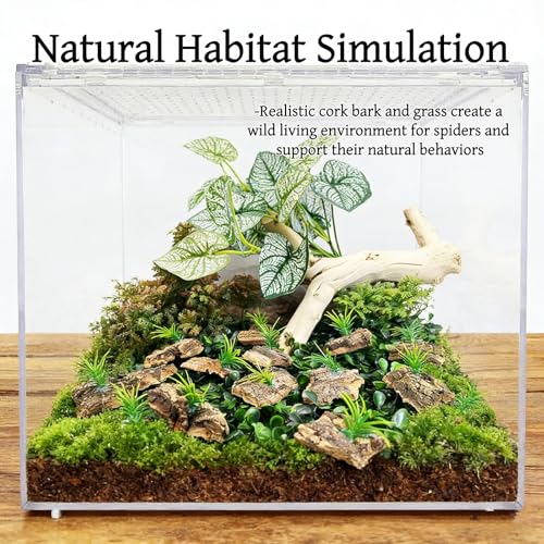 Tarantula Enclosure Decor Cork Bark Hide, 10 Items