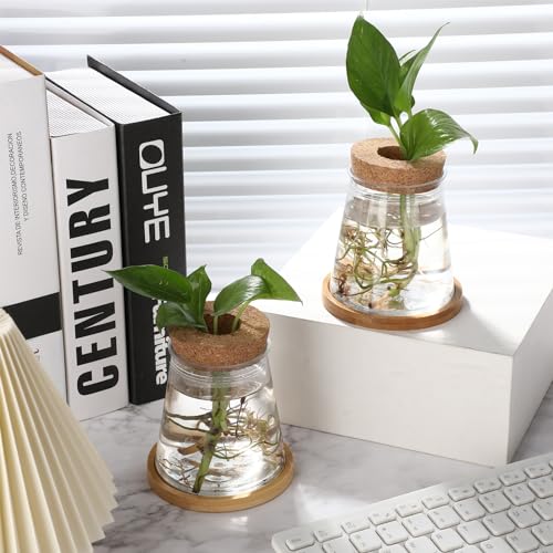 12 Packs Propagation Vases for Plants Plastic Plant Propagation with Hole Lid and Bamboo Stand Growing in Water Hydroponic Home Office Desktop Vase Decoration (Cute Style) - style: Cute Style