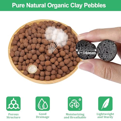 Riare 6LB Organic Leca Clay Pebbles for Plants, 4-16mm Drainage Leca Balls | Reusable, Aeration Lightweight Clay Balls, Moisture Retention for Hydroponics, Orchids, Succulents, Terrariums, Propagation - size: 6LB