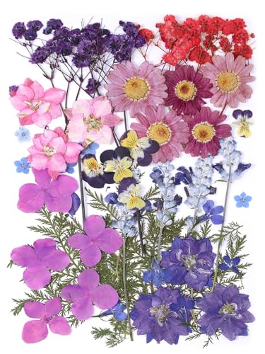 11 Types 46pcs Real Dried Pressed Flowers Leaf Plant Herbarium for DIY Resin Jewelry Making Floral Decors (Purple) - color: Purple