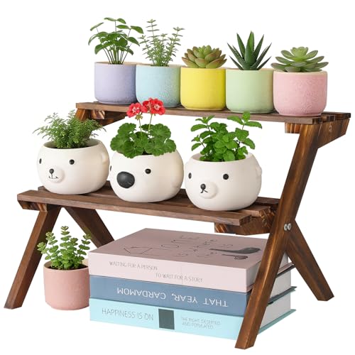 2 Tier Desktop Plant Stand, Wooden Windowsill Plant Shelf Indoor