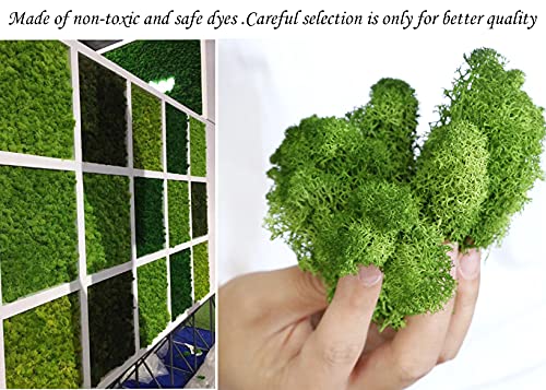 Preserved Reindeer Moss for Potted Plants, Light Pink - color: Lightpink, size: 3.5oz