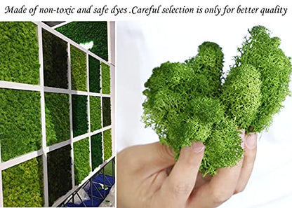 Preserved Reindeer Moss for Potted Plants, Light Pink - color: Lightpink, size: 3.5oz