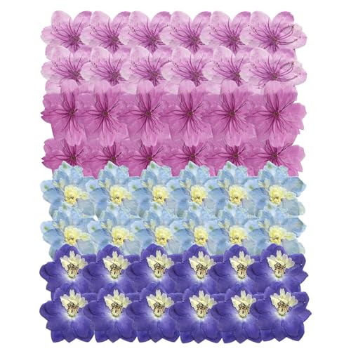 48 Pcs Dried Pressed Flowers for Resin DIY Art Crafts Natural Dry Sakura Larkspur Floral Epoxy Jewelry Real Flower Decor Cakes Phone Cases Candles Handmade Soap - color: Sakura+larkspur