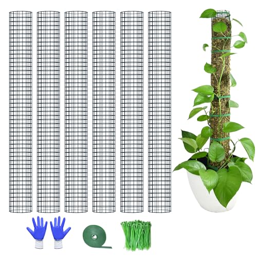 6 Pack Metal Moss Pole, 40" Large Moss Poles for Plants Monstera, Stackable Sphagnum Moss Pole for Plants Work with Sphagnum Moss(6 Pack 40") - color: 6 Pack 40"