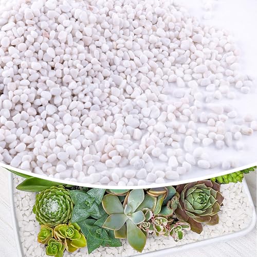 CJGQ 7lb 1/4" Small White Rocks for Plants,Potting,Succulents Aquarium Fish Tank Garden Vases Decorative Pebbles Gravel Rocks Stones - color: white, size: 7 lb (1/4 in)