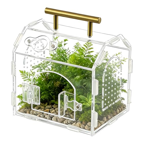 5.9" Acrylic Spider Enclosure, Clear Habitat with Magnetic Door - size: Handle House Acrylic Terrarium
