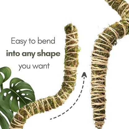 Mossify Bendable Moss Pole, 3 Pack, 30'', Natural Forest Moss - size: 30 Inches