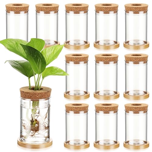 Baderke 12 Packs Propagation Vases for Plants Plastic Plant Propagation with Hole Lid and Bamboo Stand Growing in Water Hydroponic Home Office Desktop Vase Decoration(Classic Style) - style: Classic