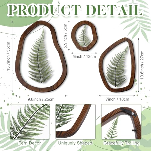 Lineshading Pressed Fern Wall Decor Set of 3, Irregular Wooden Frame with Preserved Ferns Double Glass, Rustic Botanical Wall Art for Bedroom Living Room Office, Housewarming Gift