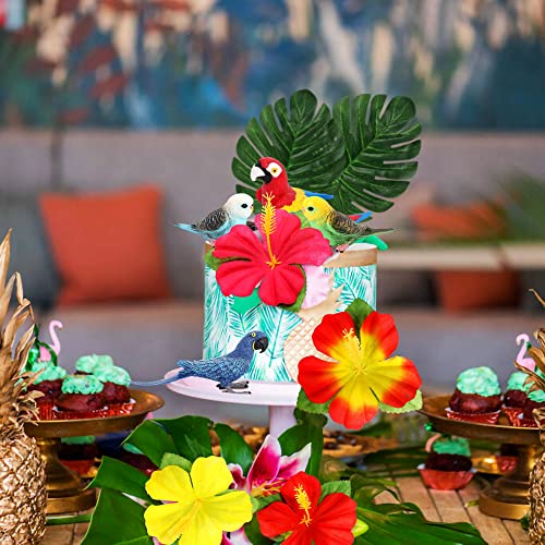 JeVenis Parrot Birthday Cake Decoration Tropical Bird Cupcake Decoration
