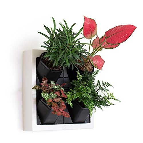 Self Watering Wall Planter with 4 Pots - Easy to Create Indoor Living Wall for Home, Office and Shop Front - Includes Water Gauge (White) - color: White