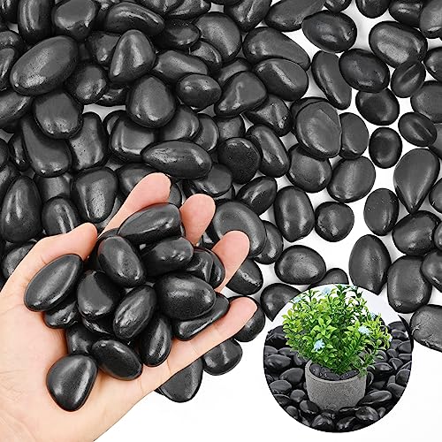 20Ib Black River Rock- Decorative Pebbles for Plants - River Rocks for Outdoor Landscaping- 0.3"-0.8" inch High Polished Stones for Aquarium, Terrarium,Vases, Home Decor - style: high polished black