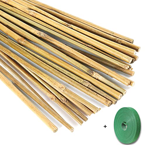 Yowlieu 20 Pcs Natural Bamboo Stakes + 1 Roll Garden Ties, 18 Inches Bamboo Sticks Gardening Plant Support Stakes for Indoor Plants, Tomato, Potted Plants - size: 20 Pcs Stakes + 1 Roll Plant Ties