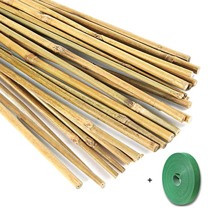 Yowlieu 20 Pcs Natural Bamboo Stakes + 1 Roll Garden Ties, 18 Inches Bamboo Sticks Gardening Plant Support Stakes for Indoor Plants, Tomato, Potted Plants - size: 20 Pcs Stakes + 1 Roll Plant Ties