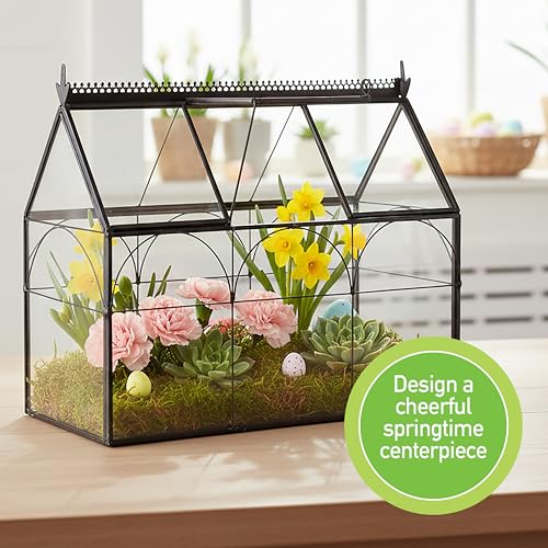 D'Eco Glass Greenhouse Plant Terrarium, Centerpiece & Wedding Letterbox | Tabletop Geometric Planter Terrarium, Dims 10x4.5x9", Fill with Succulents, Moss, Air Plants, Ferns & Seasonal Home Decor - size: Greenhouse