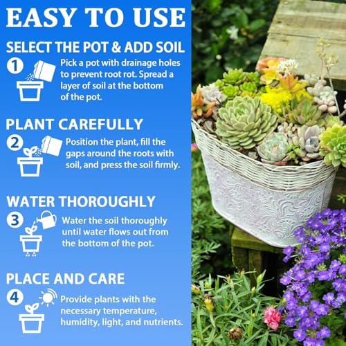 Halatool 10QT Potting Soil Mix, Indoor & Outdoor Plants, Succulents, Orchid - size: 10 qt
