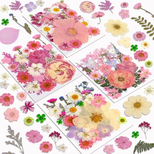 Dried Flowers, Resiners 100Pcs Pressed Flowers for Craft Baby Pink Real Natural Dried Flowers Dry Leaves Kit for DIY Making Crafts Resin Soap Candle Scrapbook Supplies Card Making Jewelry - color: Light Pink 100pcs