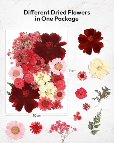 Dried Flowers, Resiners 174Pcs Pressed Flowers for Craft Red Real Natural Dried Flowers Dry Leaves Kit for DIY Making Crafts Resin Soap Candle Scrapbook Supplies Card Making Jewelry - color: Cherry 174pcs