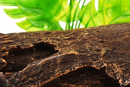 YAKCAM Driftwood Reptile Hide Cave, Aquarium Hideout w/Monstera 10.5x2.5 | Also Ideal for Amphibians & Lizards | Hollow Log Design | Life-Like 7" Monstera Plant | Terrarium Decor