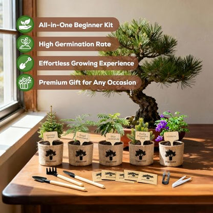 Christmas Gifts & Crafts for Adults - Bonsai Tree Starter Kit with 5 Unique Japanese Trees | Complete DIY Gardening Kit for Birthday | Gifts for Women, Men, Mom, Dad, Plant Lovers