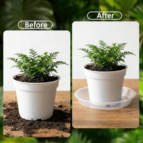 6Pack Plant Saucer, 3 5 7 9 11 13 15 17 19 21 in Plastic Plant Tray | Heavy Duty Plant Drip Trays, Clear Plastic Flower Pot Saucers, Plant Water Catcher Tray for Indoor Outdoor Planters (5 Inch) - size: 5 Inch