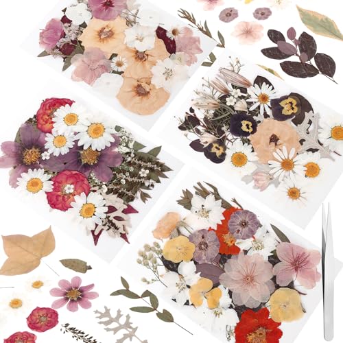 100 Pcs Real Natural Dried Pressed Flowers Yellow - color: Mixed Yellow