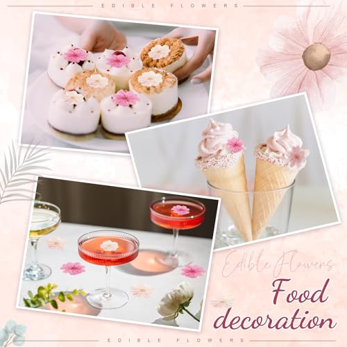 96 Pcs Pressed Edible Flowers, Pink, Flower Style | Natural Dried Flowers for Cake Topper Cupcake, Cocktails Garnish, Resin Jewelry DIY, Soap, Candle Making Art Crafts - color: Pink, style: Flower Style