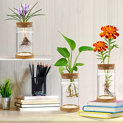 Plant Propagation Stations 3 Pack Plant Terrarium, Propagation Jars Glass Hydroponic Vases for Indoor Plants, Desktop Glass Plant Pot with Lid & Wooden Stand Gardening Gifts for Women Mom Plant Lovers