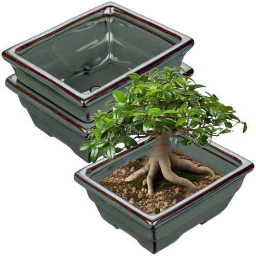 Villa Como Set of 2 Bonsai Pots with with Drainage Hole, 6.3" Green Glazed | Ceramic Rectangle Bonsai Tree Pots, Small Bonsai Planters for Indoor Outdoor Plants, Succulents, Cactus, Home, Patio, Garden - color: Green, size: 6.3"x4.9"x2.8"