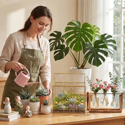 Fochier Geometric Glass Terrarium Planter, Handmade House-Shaped with Front Opening Door, Small Succulent & Cactus Display Box with Lid, Indoor Tabletop Micro Landscape Decor, No Plants, Gold