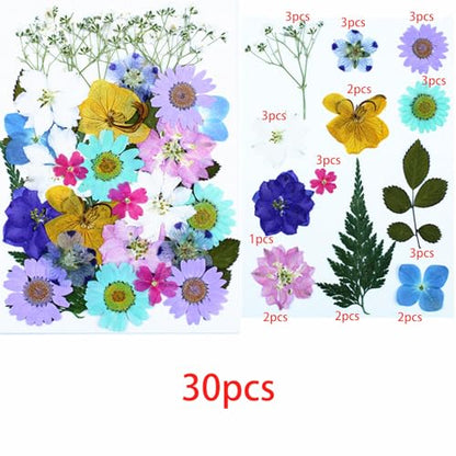 Cayway 4 Pack Pressed Flowers Natural Dried Flowers Colorful Resin Flowers Real Pressed Flowers for Resin Scrapbook DIY Art Crafts, Epoxy Resin Jewelry, Card Making Supplies, Style G - color: 4 Pack Pressed Flowers B